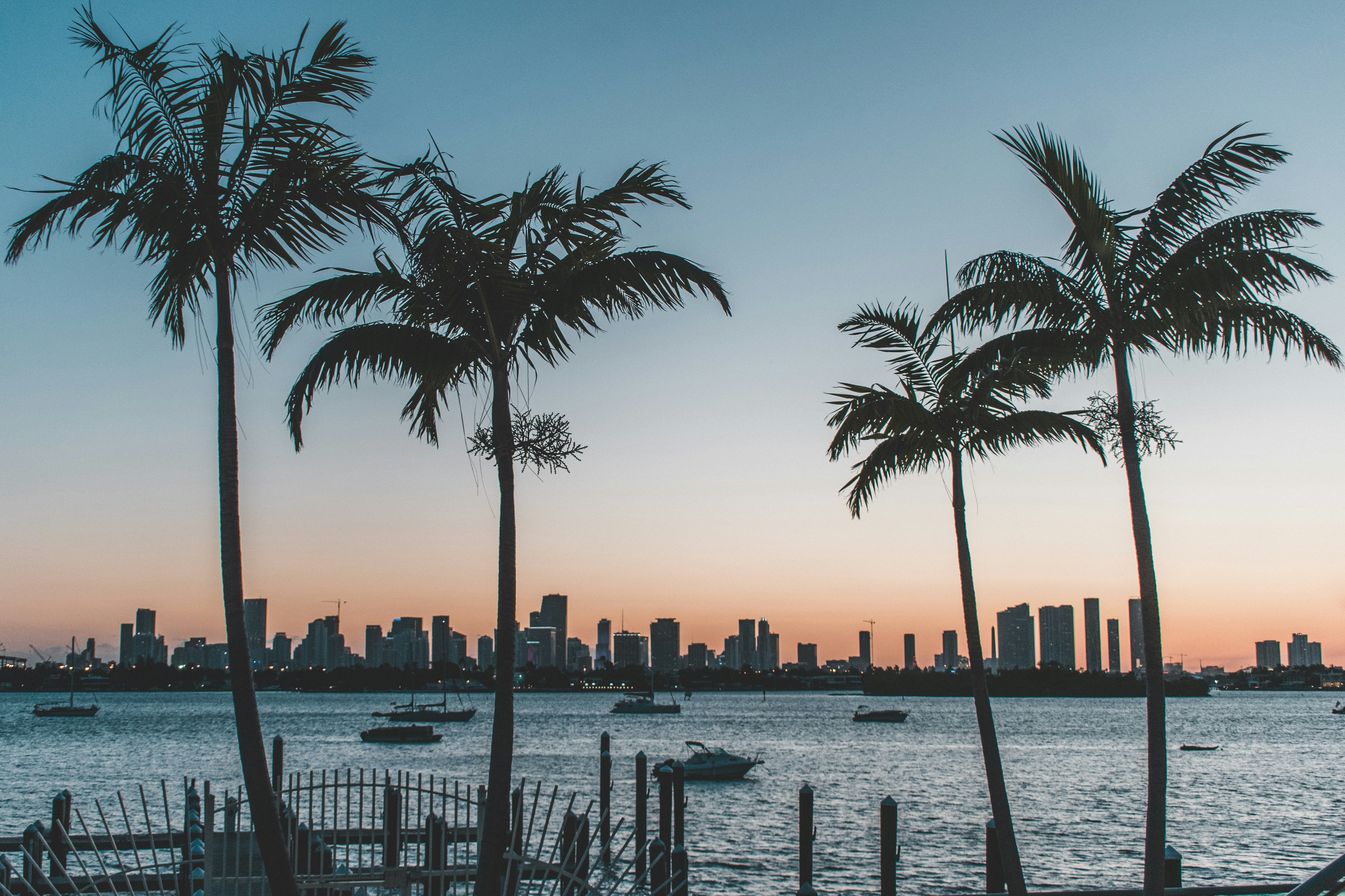 Miami skyline at sunset with palm trees overlooking Biscayne Bay, capturing the tropical lifestyle that inspires WYNWOOD BLVD.